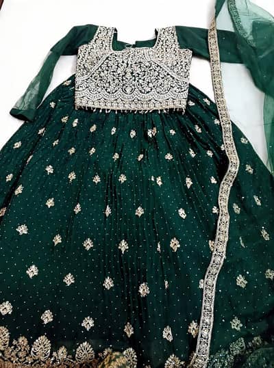 Heavy Work Blouse + pleated skirt + Net dupatta