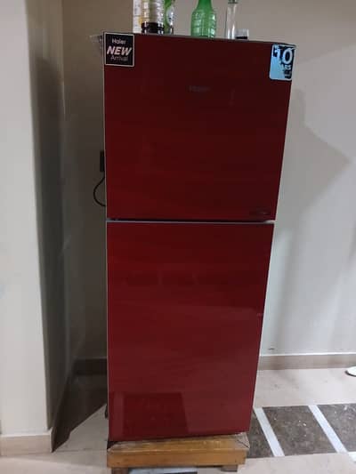 Haier Refrigerator 2-door/ 246 Model 216L