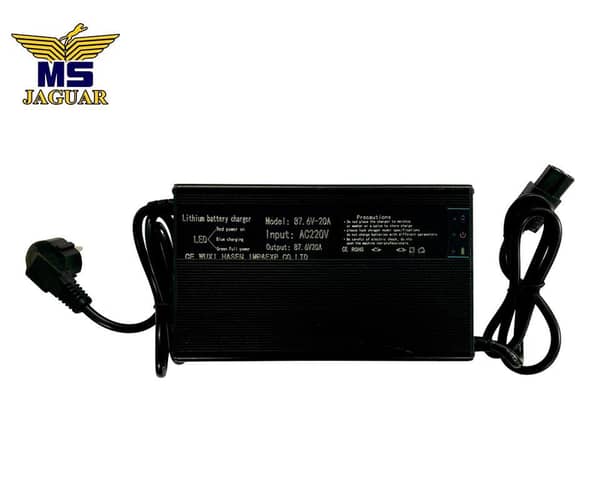 87.6V 20Ah Lithium Iron Phosphate Battery Charger