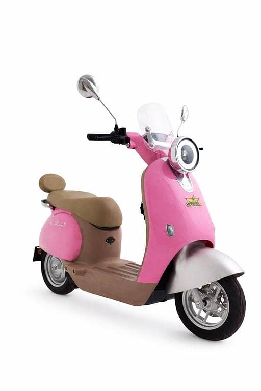 MS Jaguar MISO E-Bike