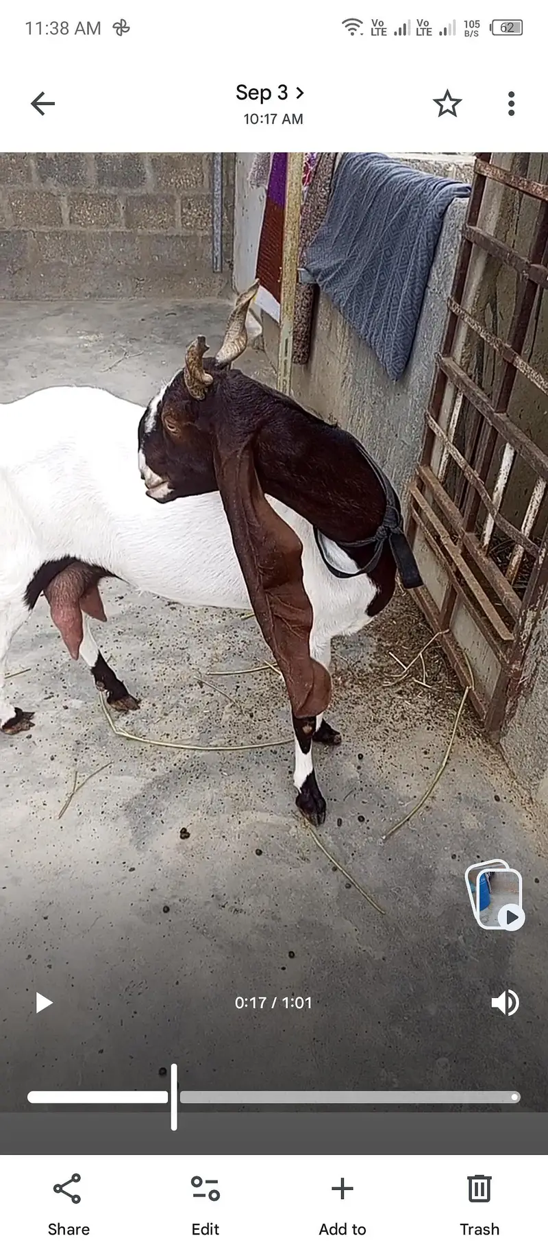 Set up for sale. Pateri nsl Maa bche. — photo 4