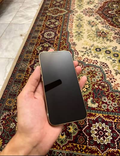 Apple iPhone 13 Pro
