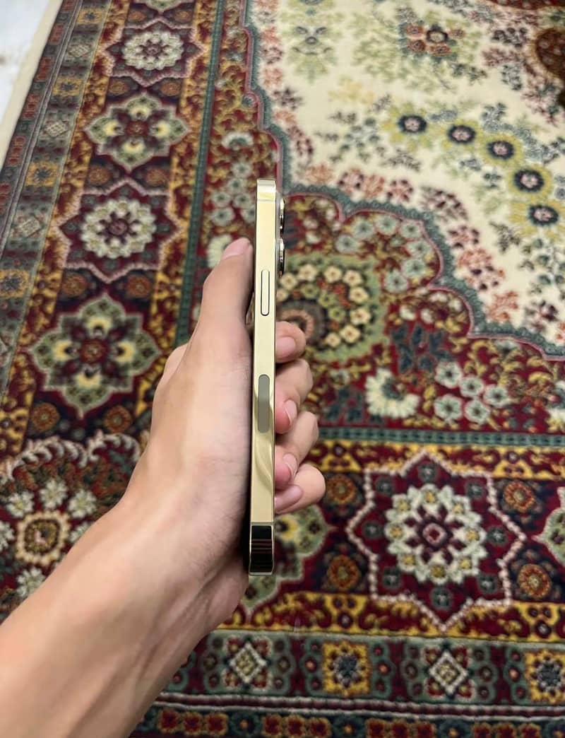 Apple iPhone 13 Pro 1