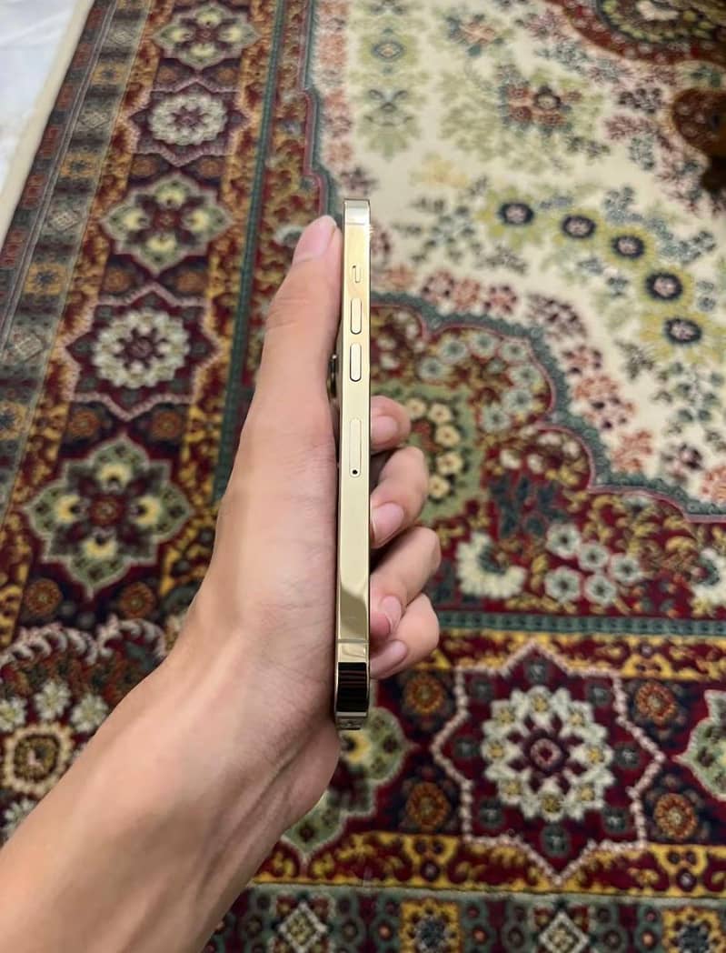 Apple iPhone 13 Pro 2