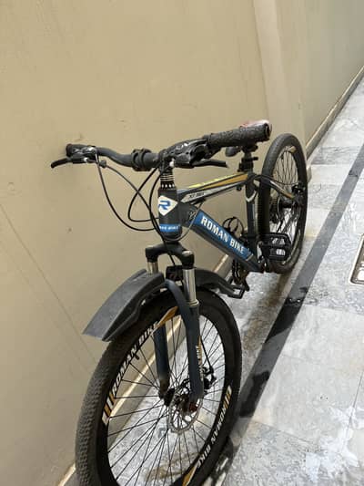 Roman bike