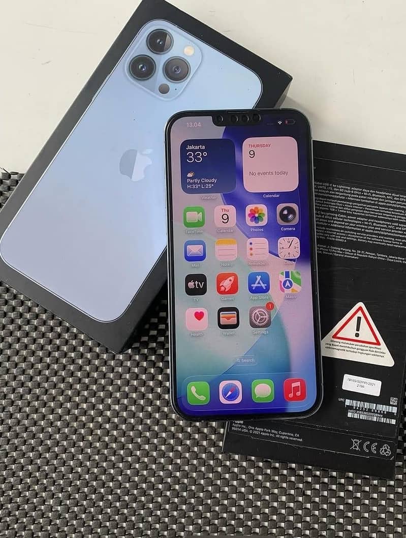 Apple iPhone 13 Pro Max 1
