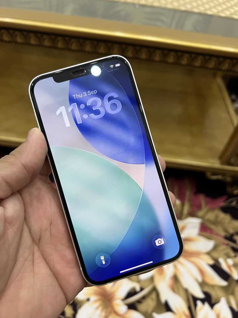 Apple iPhone 12 1