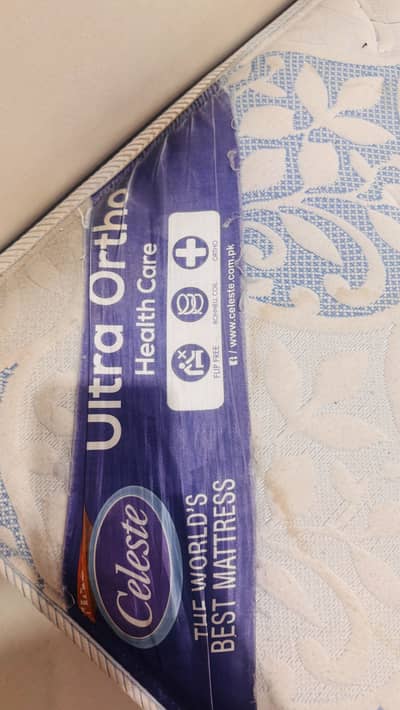 Master Celeste Ultra Ortho 78-72