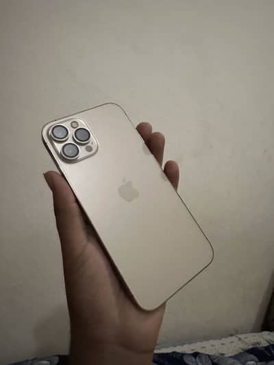 Apple iPhone 12 Pro Max
