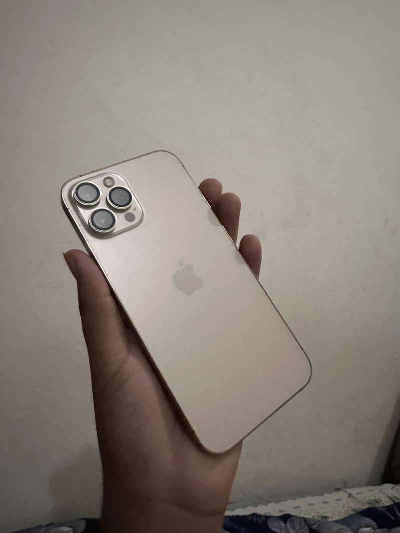 Apple iPhone 12 Pro Max 0