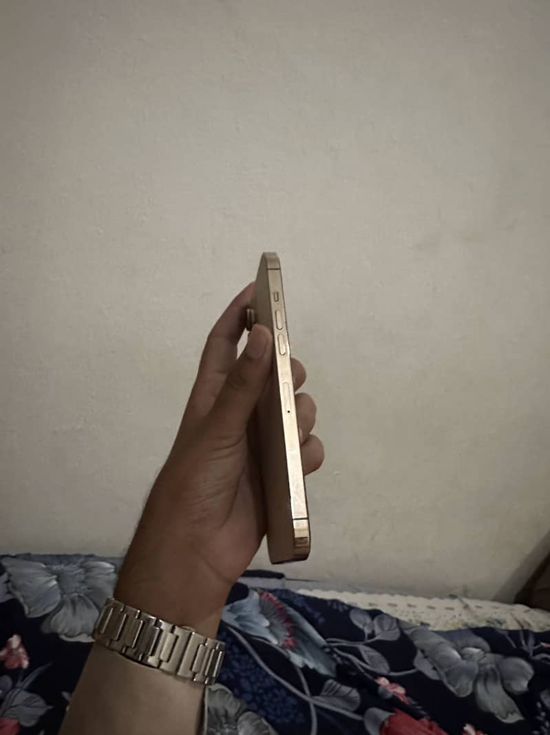 Apple iPhone 12 Pro Max 1