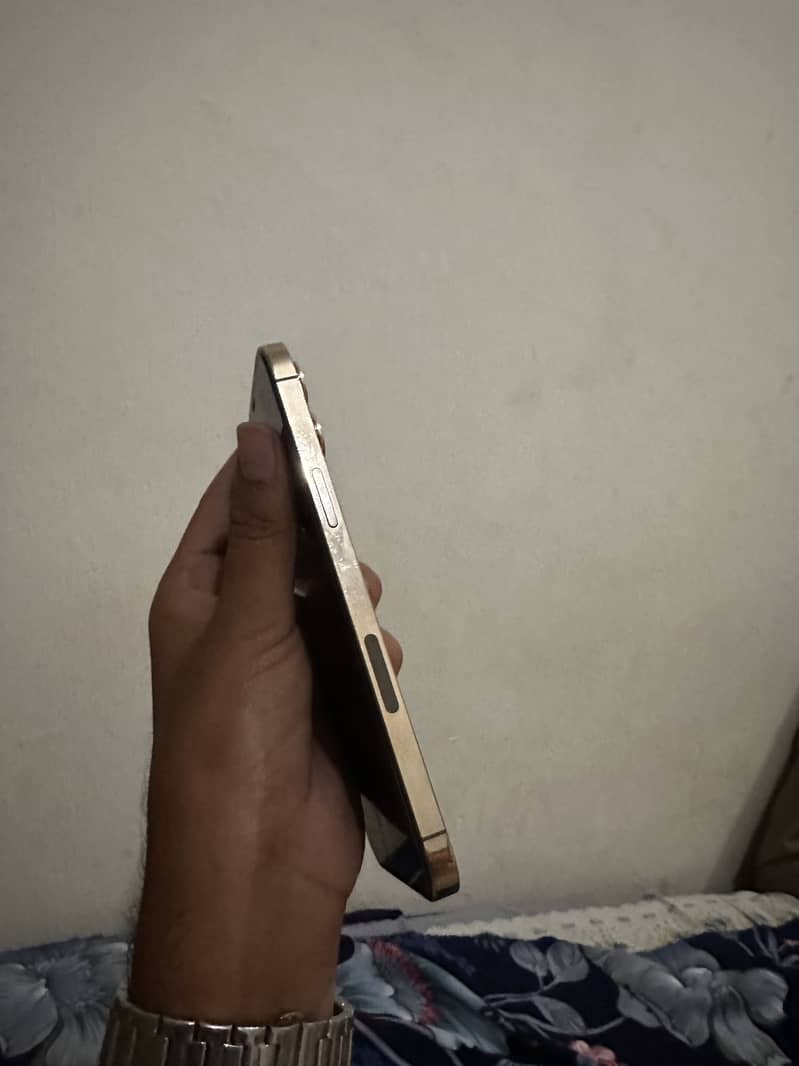 Apple iPhone 12 Pro Max 2