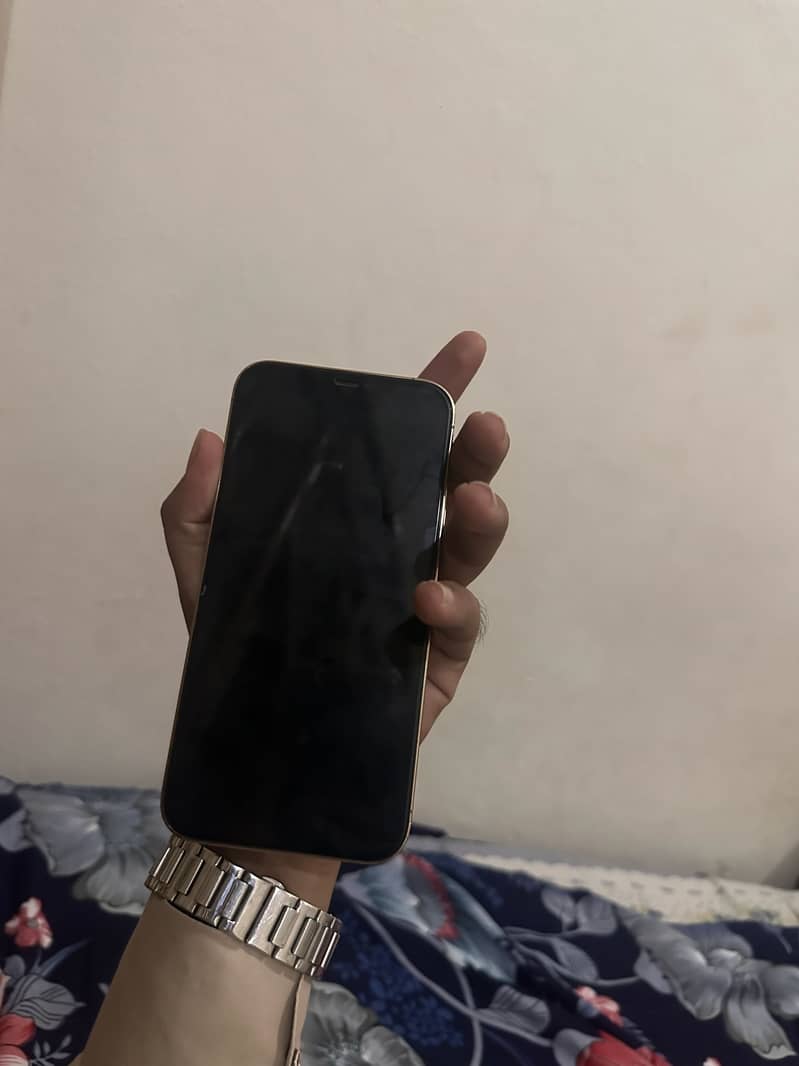 Apple iPhone 12 Pro Max 3
