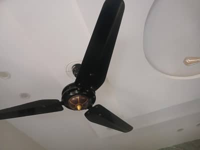 lahore Fan