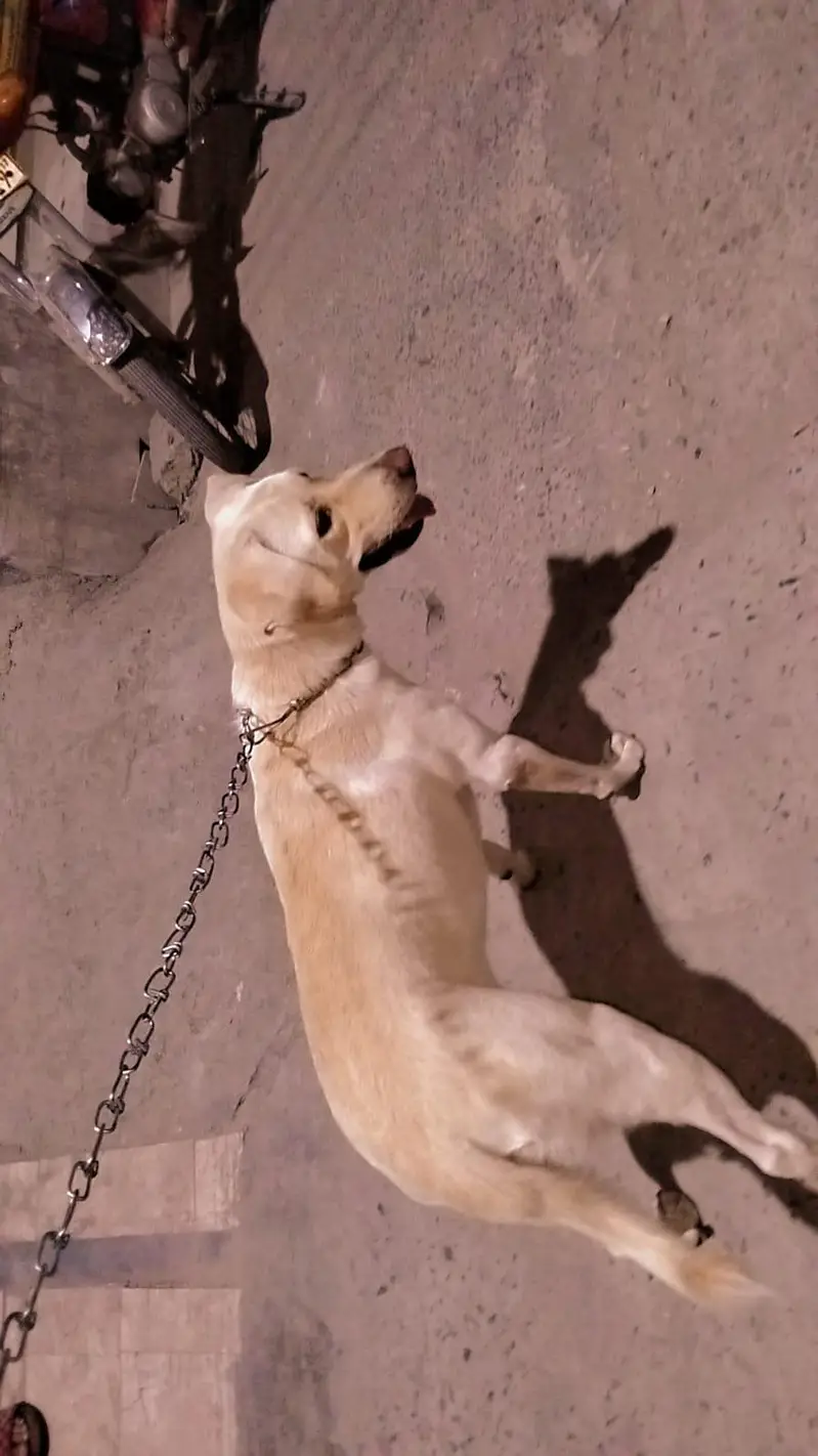 Fully vaccinated allhamdulillah healthy female — photo 3