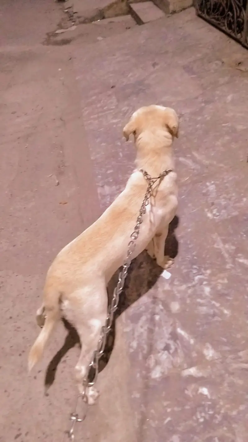 Fully vaccinated allhamdulillah healthy female — photo 6