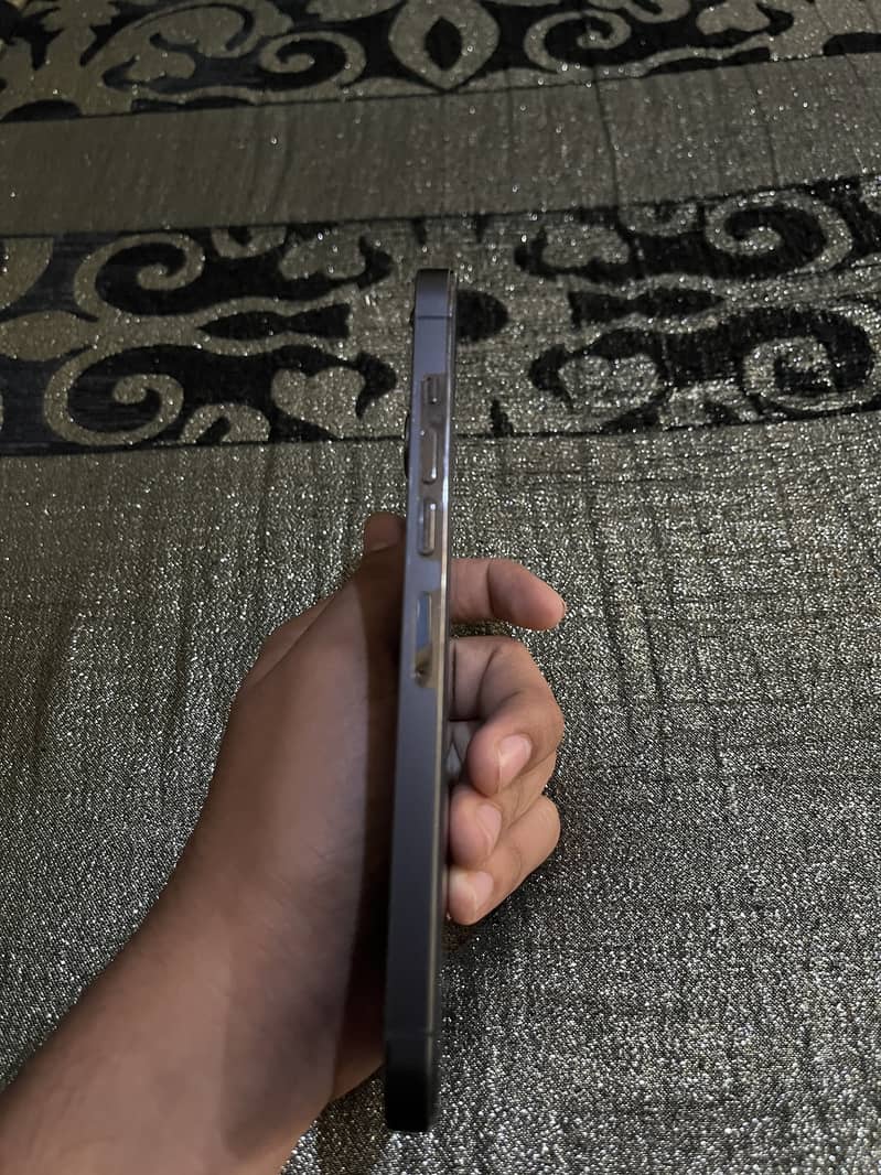 Apple iPhone 13 Pro Max 0