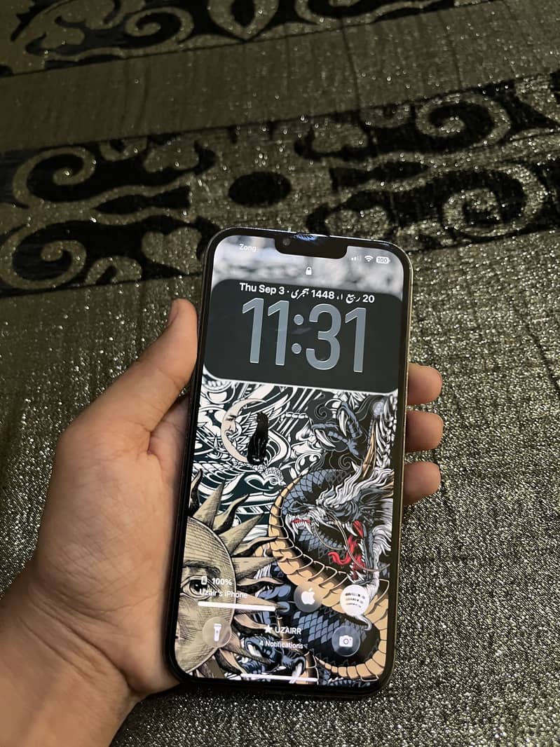 Apple iPhone 13 Pro Max 3