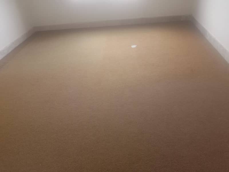 carpet 0