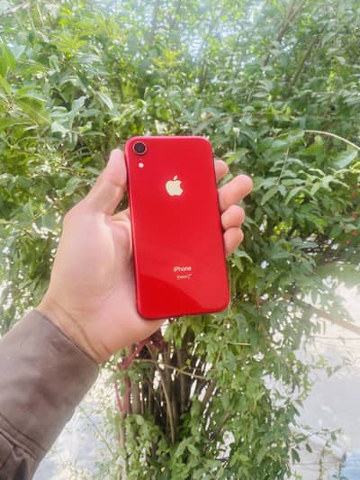 Apple iPhone XR