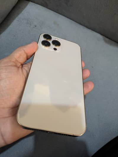 Apple iPhone 13 Pro Max