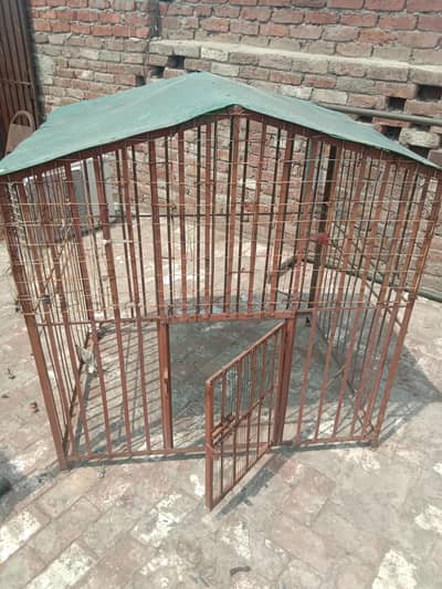 dog house