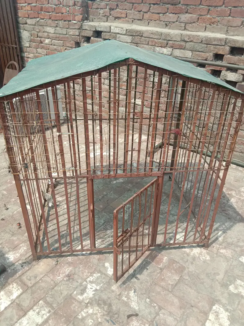 dog house