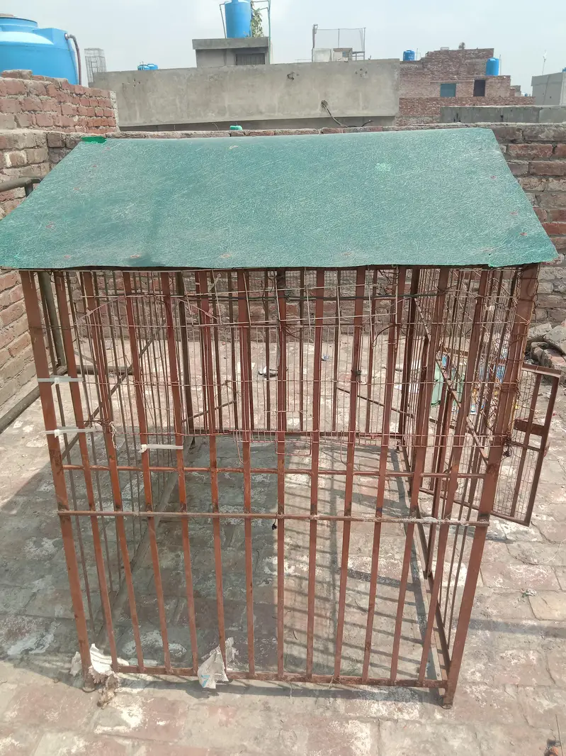 dog house — photo 2