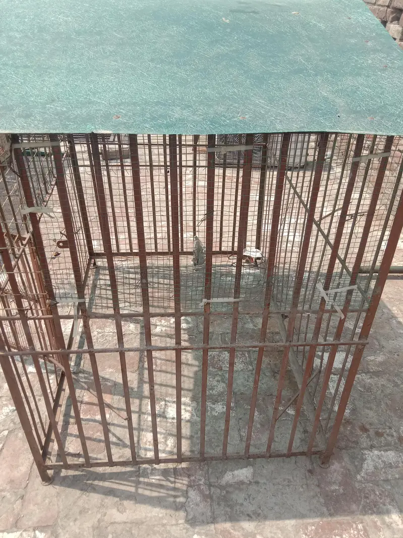 dog house — photo 3