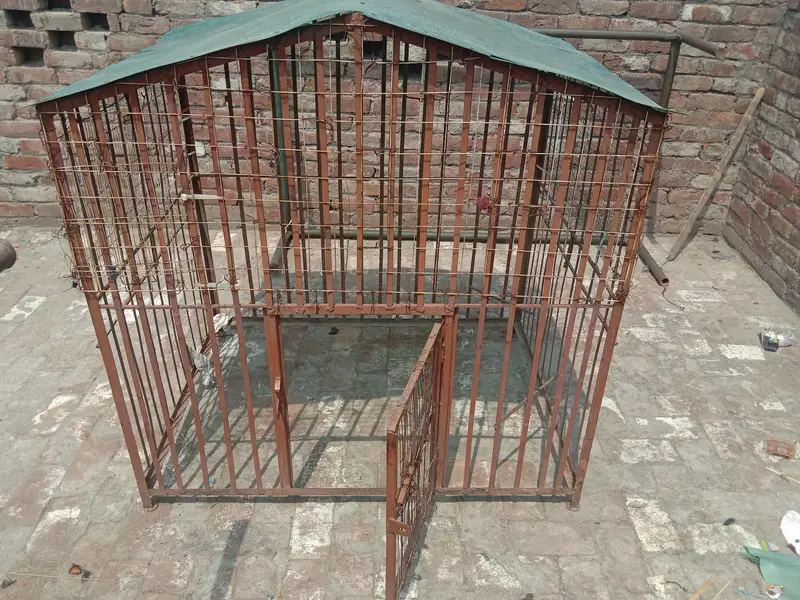 dog house — photo 7