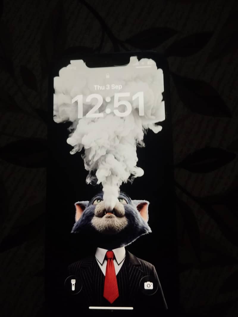 iPhone 13 pro 1