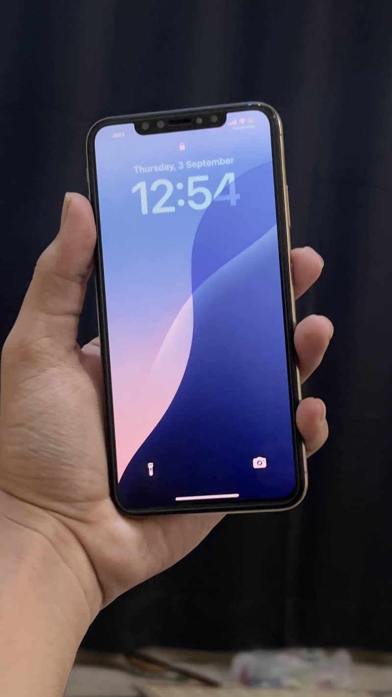 Apple iPhone XS Max 3