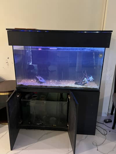 Premium Custom Aquarium for Sale Auto Filtration Sunk