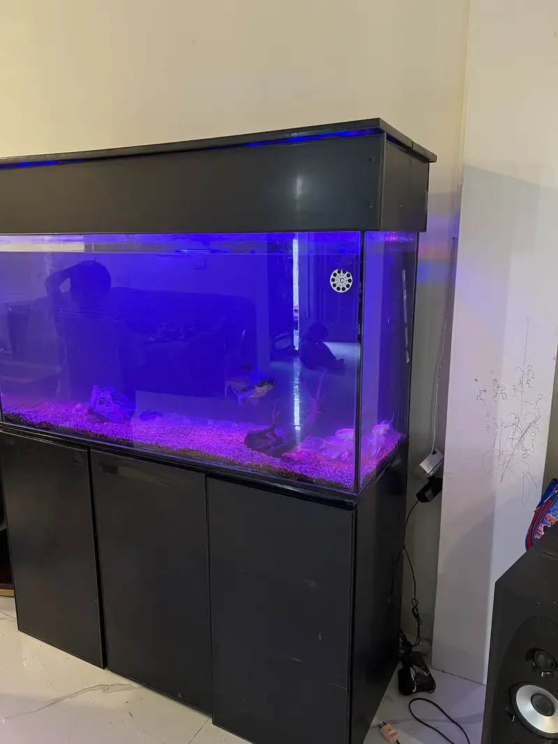 Premium Custom Aquarium for Sale Auto Filtration Sunk — photo 2