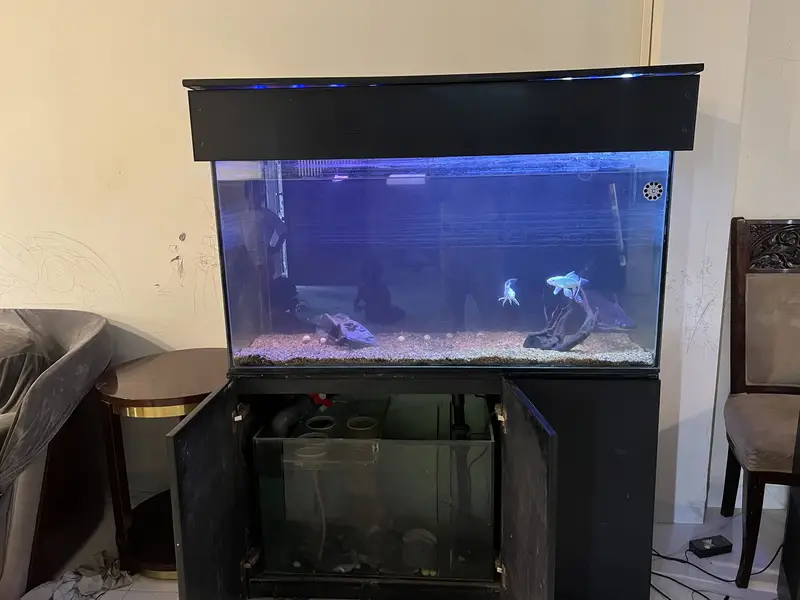 Premium Custom Aquarium for Sale Auto Filtration Sunk — photo 3