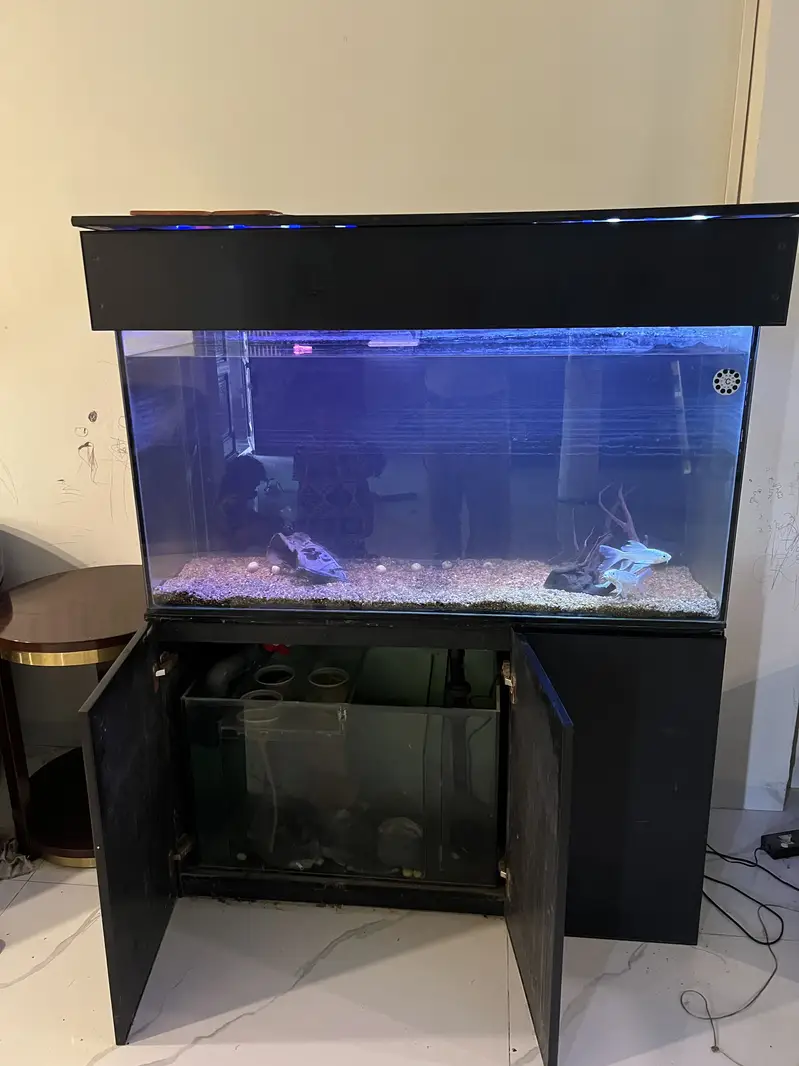 Premium Custom Aquarium for Sale Auto Filtration Sunk — photo 4