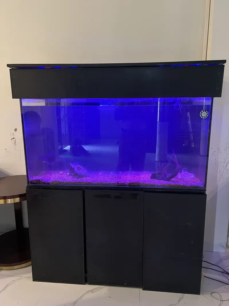 Premium Custom Aquarium for Sale Auto Filtration Sunk — photo 5