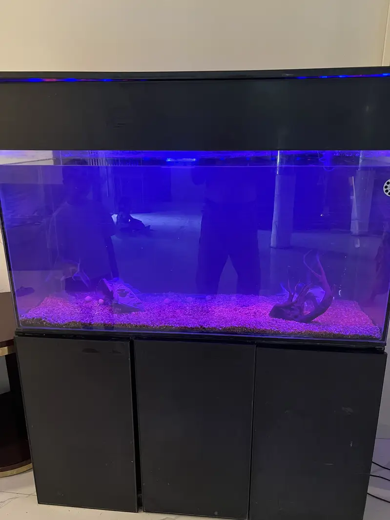 Premium Custom Aquarium for Sale Auto Filtration Sunk — photo 6
