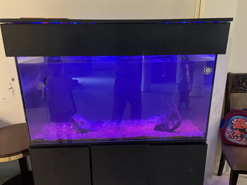 Premium Custom Aquarium for Sale Auto Filtration Sunk — photo 8