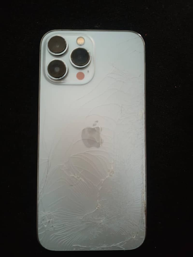 Apple iPhone 13 Pro Max 2