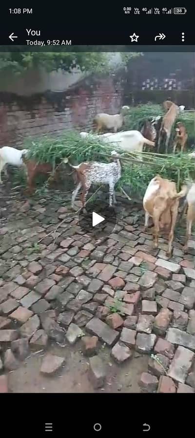 all setup for sale bilkul low price ma jaldi rabta Karen fazol time