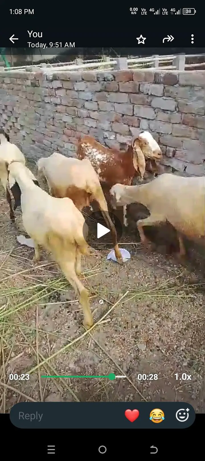 all setup for sale bilkul low price ma jaldi rabta Karen fazol time — photo 3