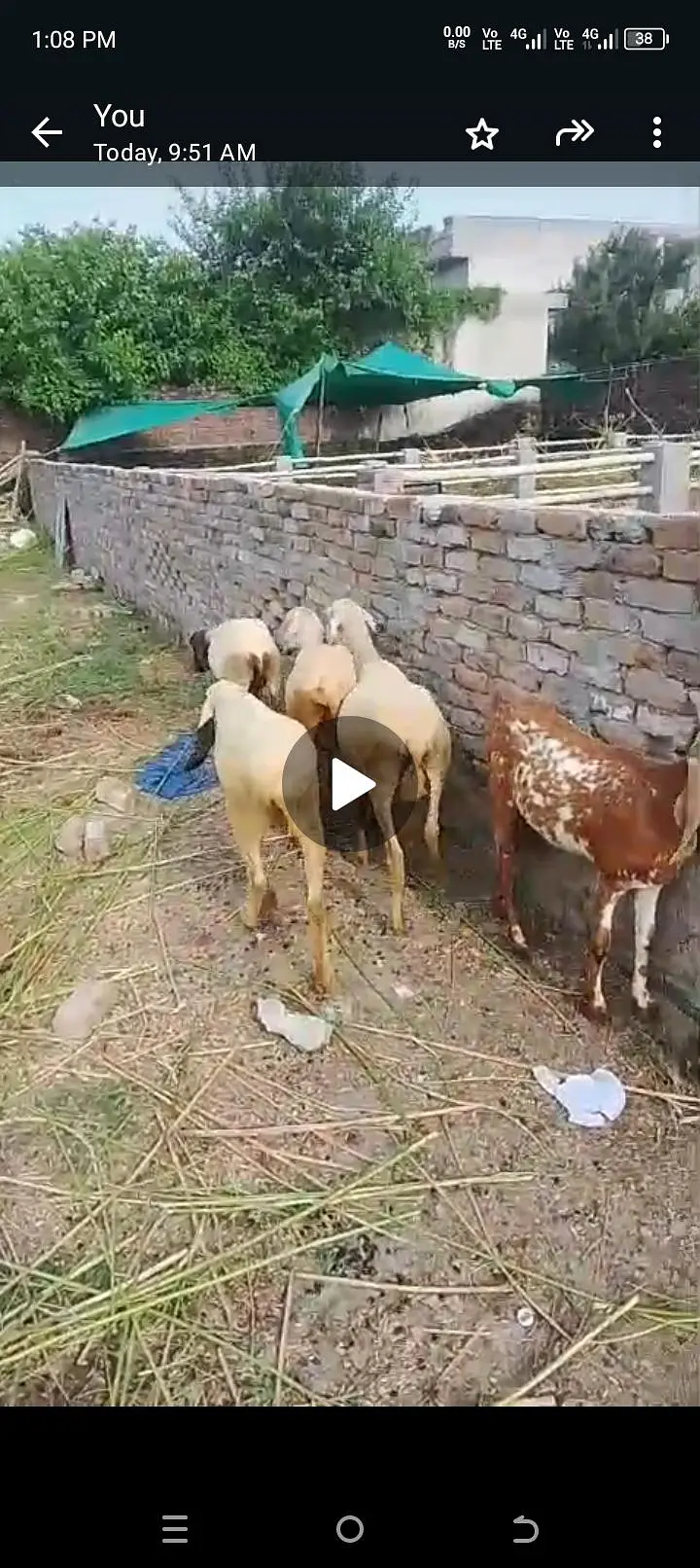 all setup for sale bilkul low price ma jaldi rabta Karen fazol time — photo 4