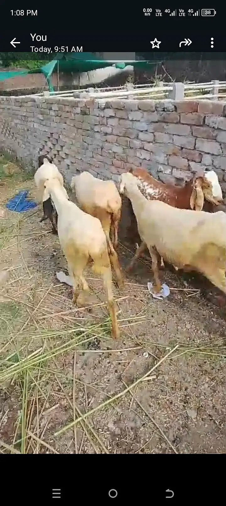 all setup for sale bilkul low price ma jaldi rabta Karen fazol time — photo 5