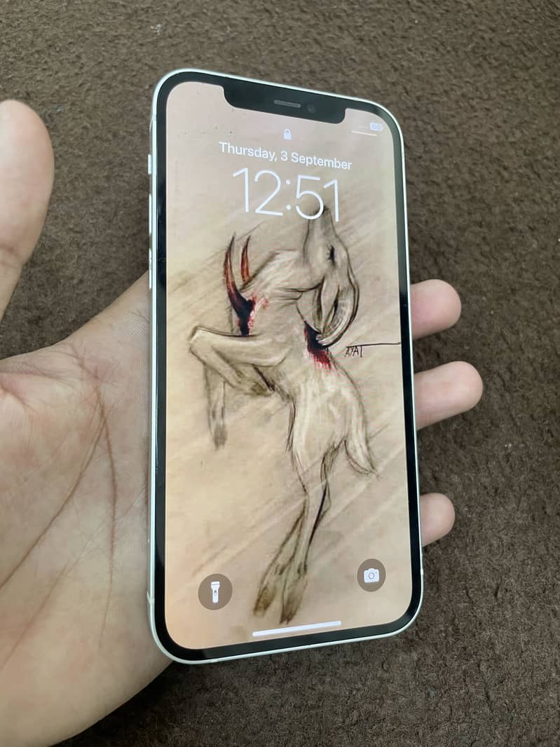 Apple iPhone 12 0
