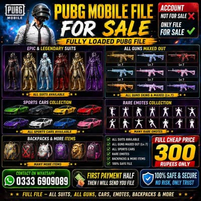 PUBG FILE AT CHEAP PRICE 300