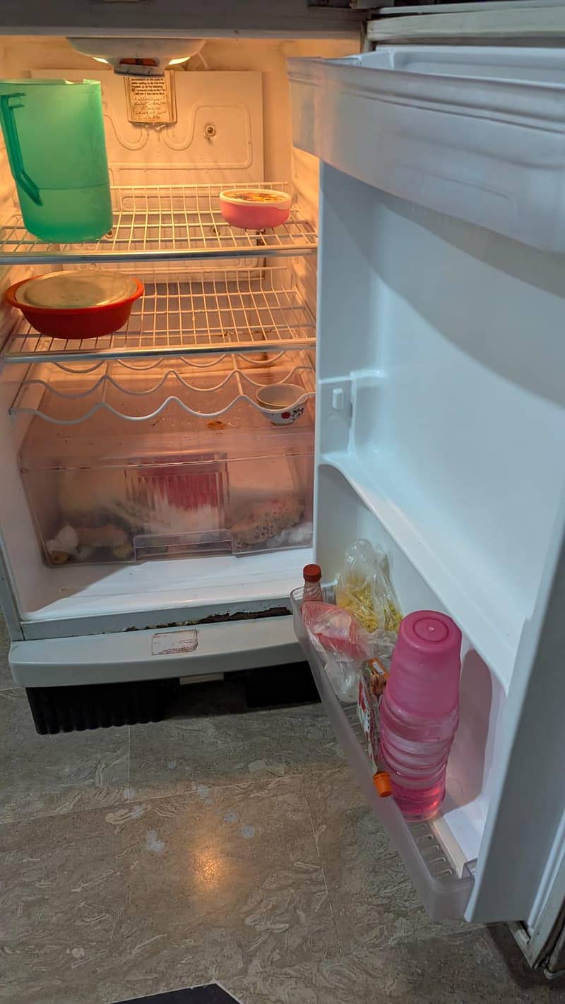 Waves fridge medium size 2