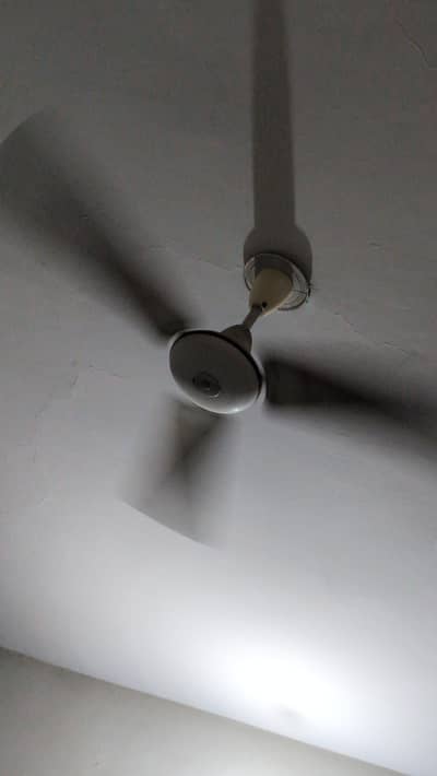 ceiling fans