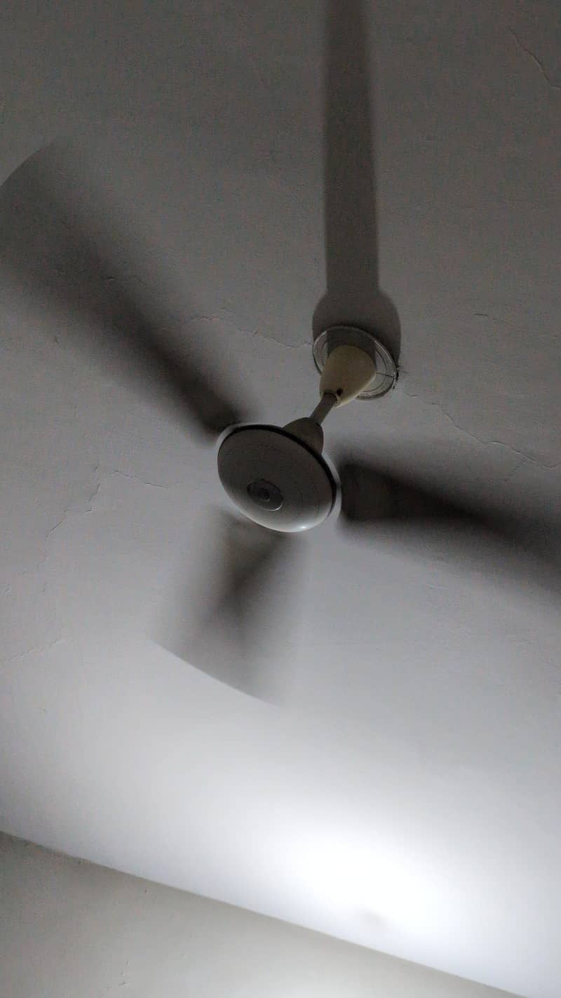 ceiling fans 0