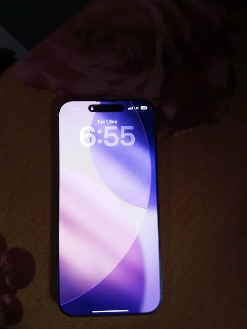 Apple iPhone 16 Pro Max 1